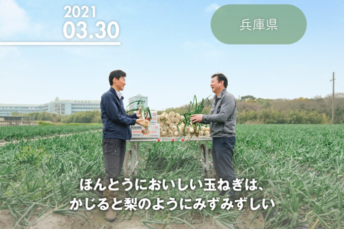 ほんとうにおいしい玉ねぎは、かじると梨のようにみずみずしい