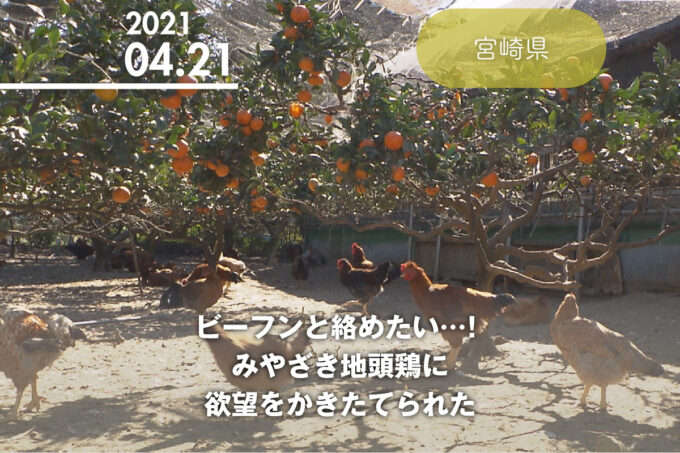 ビーフンと絡めたい…！ みやざき地頭鶏に欲望をかきたてられた。