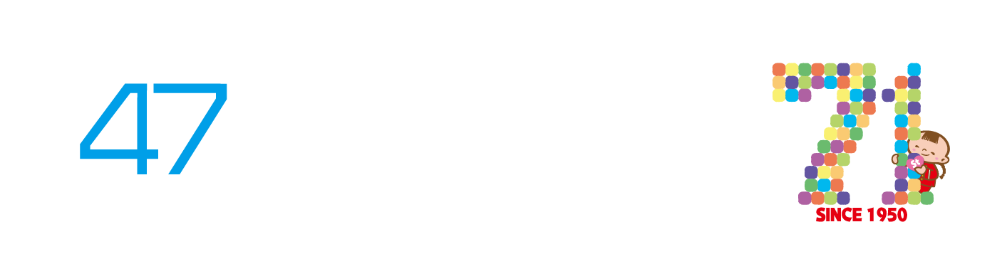 The North Face ヌプシ レディース メタリックダウン